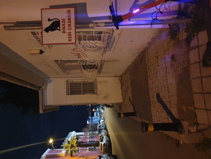 Kamera ile en son hangi fotoğrafı çektin?