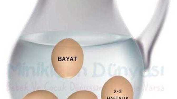 Kahvaltı da yumurta yer misin, sever misin yumurtayı?
