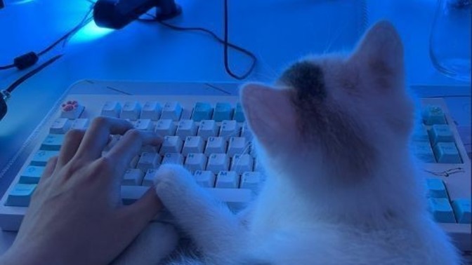 Oyun oynarken yanınızda küçük dostlarınız bulunur mu?