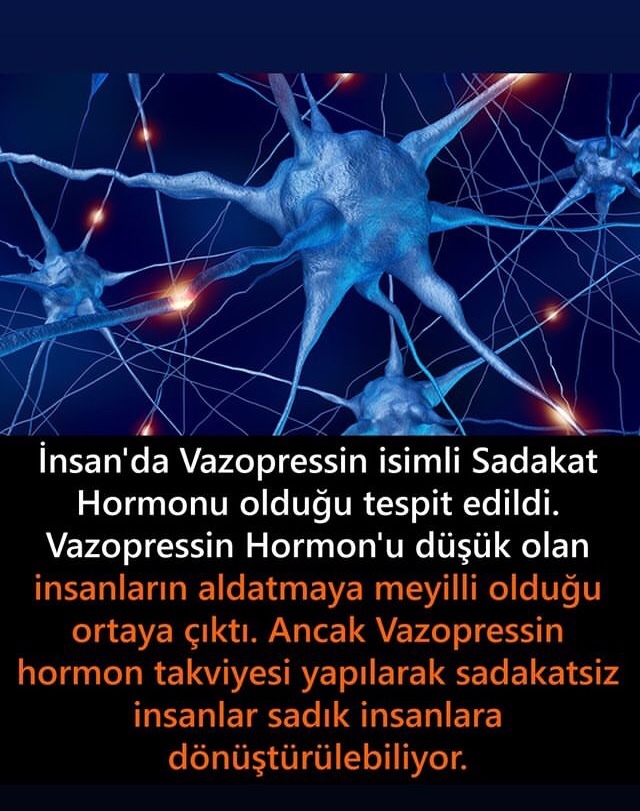 Sizin vazopressin sadakat hormonunuz ne seviyede?😜?