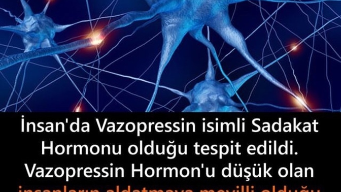 Sizin vazopressin sadakat hormonunuz ne seviyede?😜?