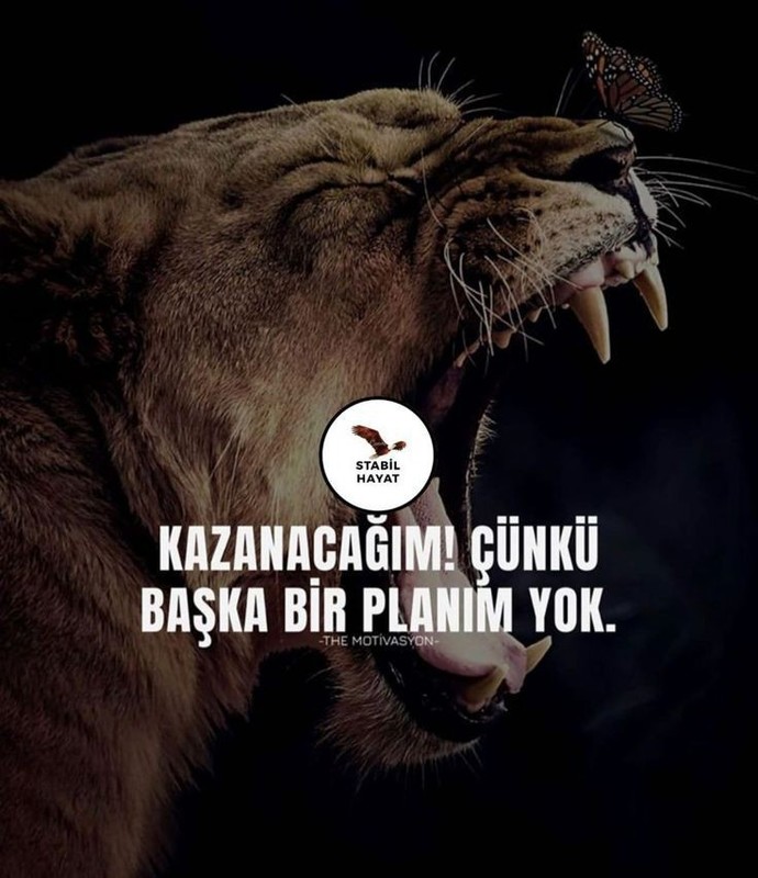 SAÇMA BİR MOTİVASYON SÖZÜ SÖYLEYİN?
