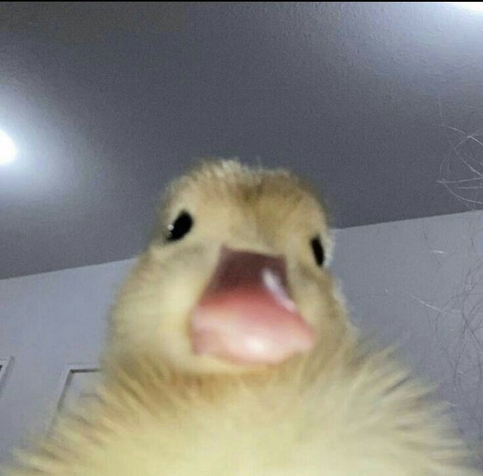 🤭✨️