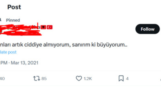Sosyal medya hesabına Arnavutluk bayrağı koyanlar vatandaşlıktan çıkarılsın mı?