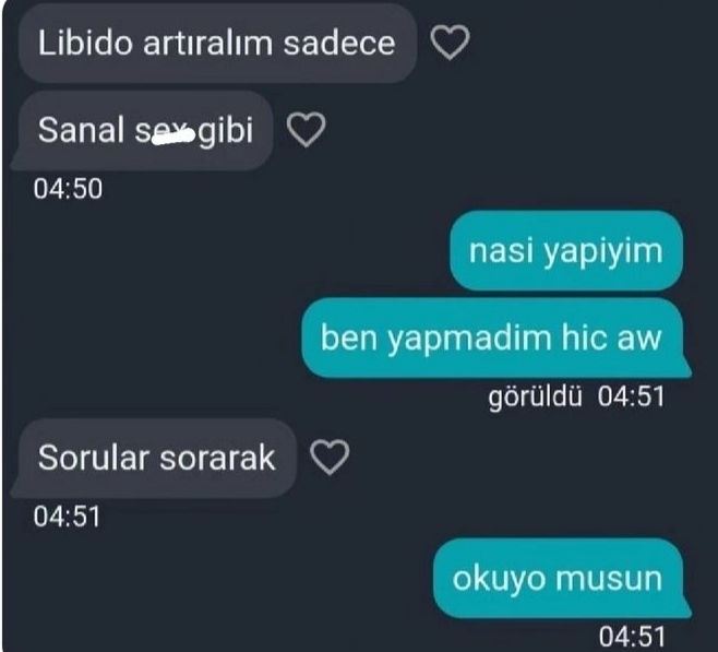 Sanal sekste sorulan sorular sizce önemli mi? Peki siz bu durumda ne sorardınız?