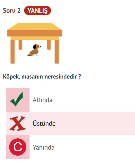 Hayat sana en son neyi öğretti?