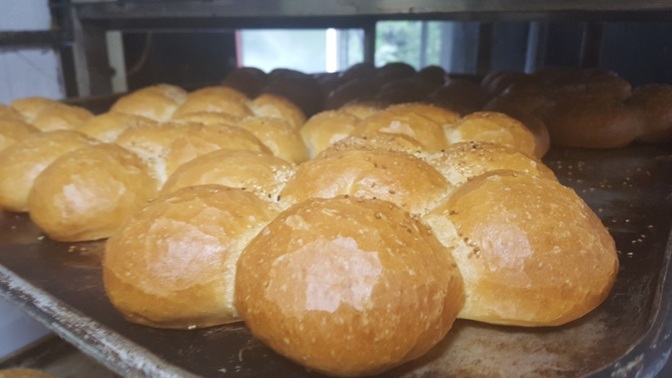 Papatya somun ekmeğe noldu?