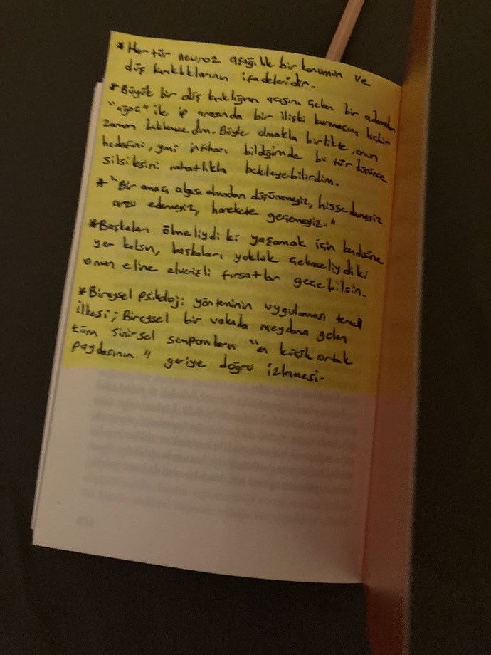 Kitap okurken notlar alır mısınız?