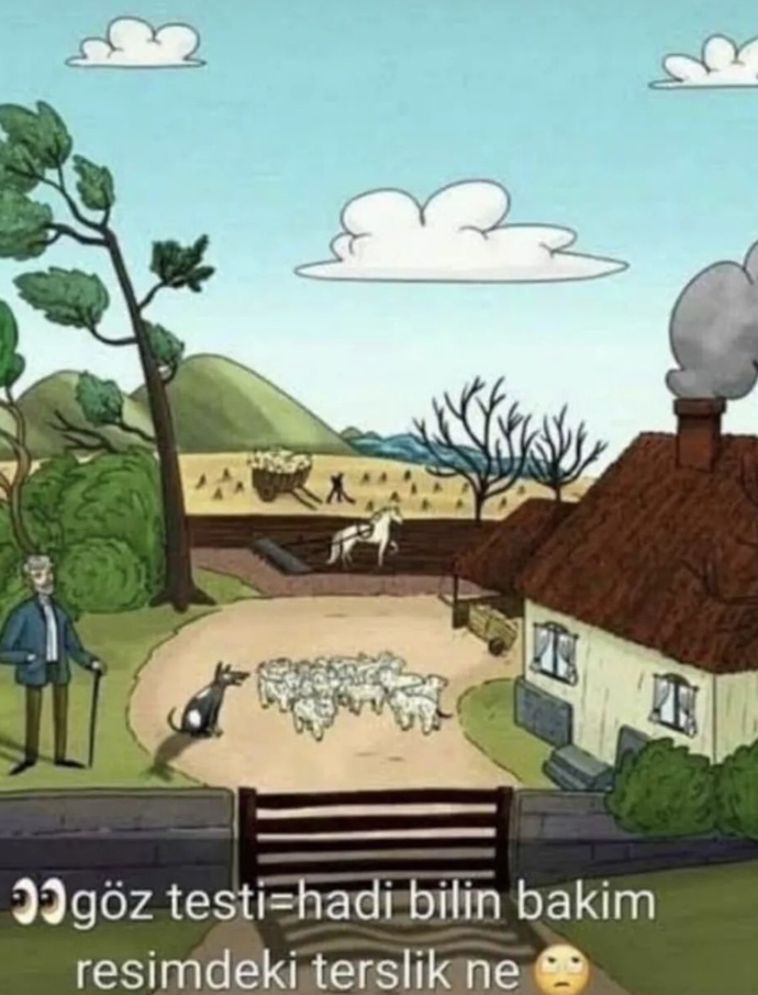 Resimdeki terslikler ne?