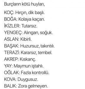 Burçların kötü huyları nelerdir?
