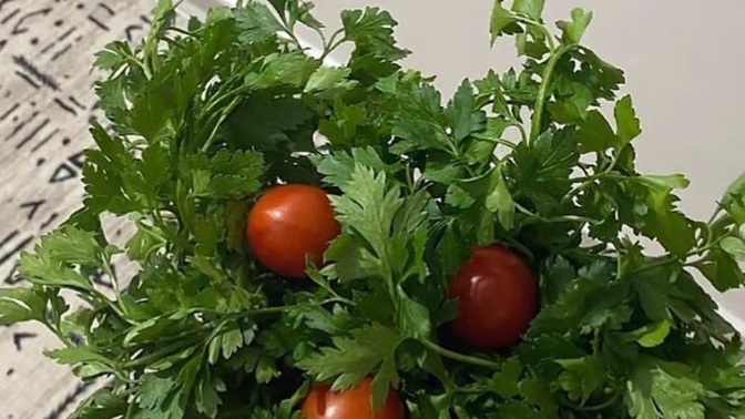Kızlar kokina aldınız mı?