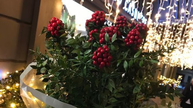 Kokina çiçeği almayan kaldı mı?