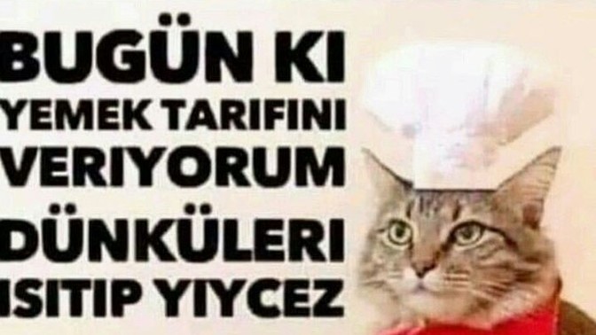 Tokluk hissinin serotonini yükselttiğini farkettiniz mi hiç acaba kilo alan insanlar serotonin ihtyacını böyle mi karşılıyor?