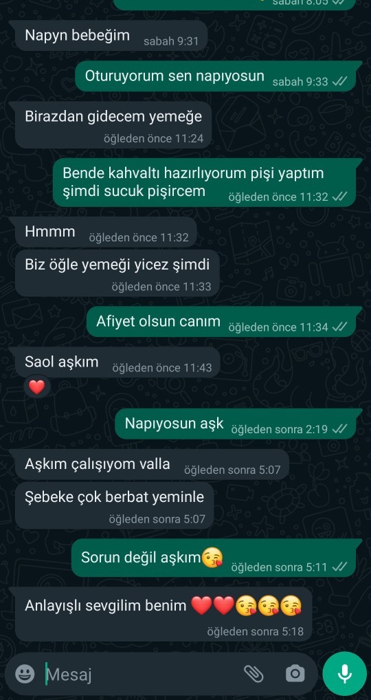 Beni seviyor mudur sizce, işinden dolayı fazla Whatsappa giremiyor?