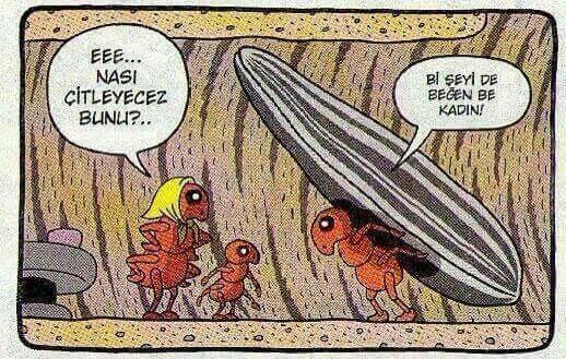 Kızlar sizi hangisi daha çok mutlu eder?