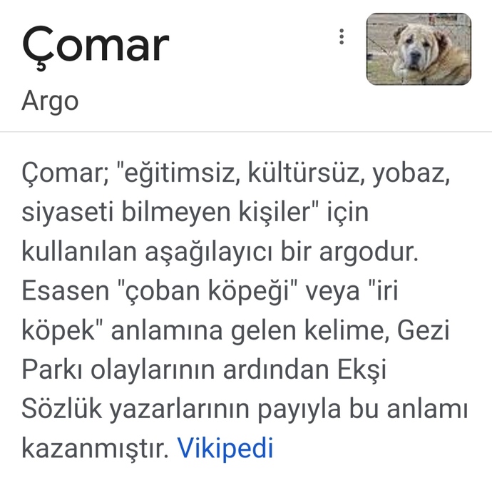 Çomar sever misin?