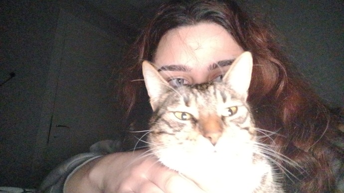 Sokakta kedi varken neden parayla alıyorlar 🥲?