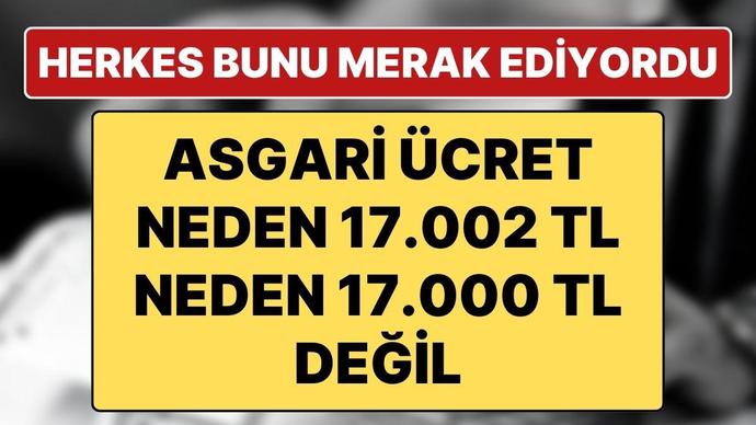 Asgari ücretteki 2 TL ile ne yapmayı düşünüyorsunuz?