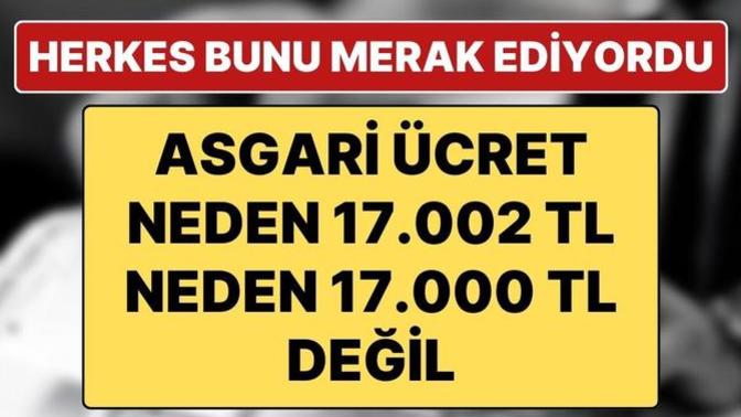 Asgari ücretteki 2 TL ile ne yapmayı düşünüyorsunuz?
