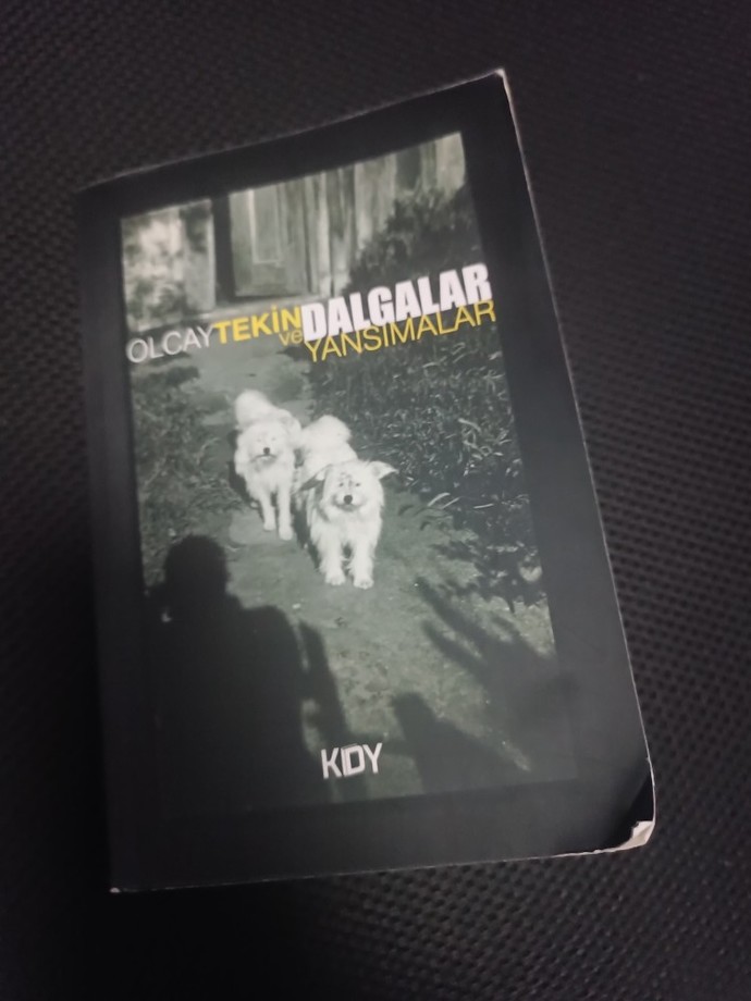 En son ne kitap okudunuz kaç sayfalık kitabı kaç gün sonra bitirdin?