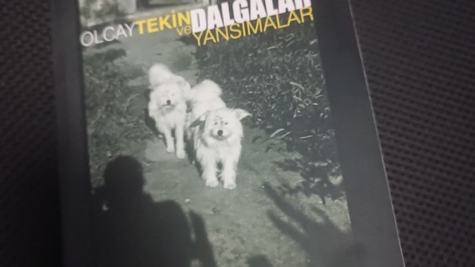 En son ne kitap okudunuz kaç sayfalık kitabı kaç gün sonra bitirdin?