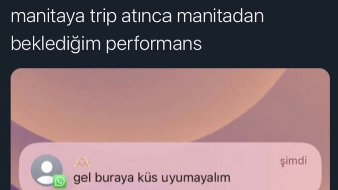 Manitayla tartışma, trip, tavırdan sonra manitadan nasıl bir performans bekliyorsun 😂?