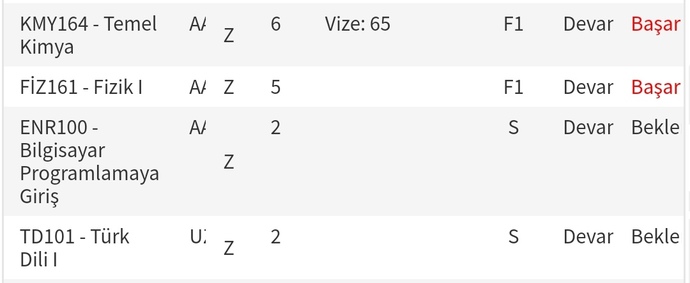 Vize notum gözükmüyor, 0 mı aldım?