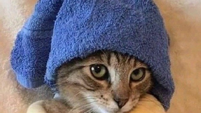 Hadi soru cevap yapalım✨️?