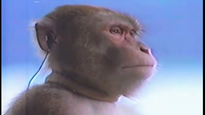 Size müzik bırakmamı ister misiniz?