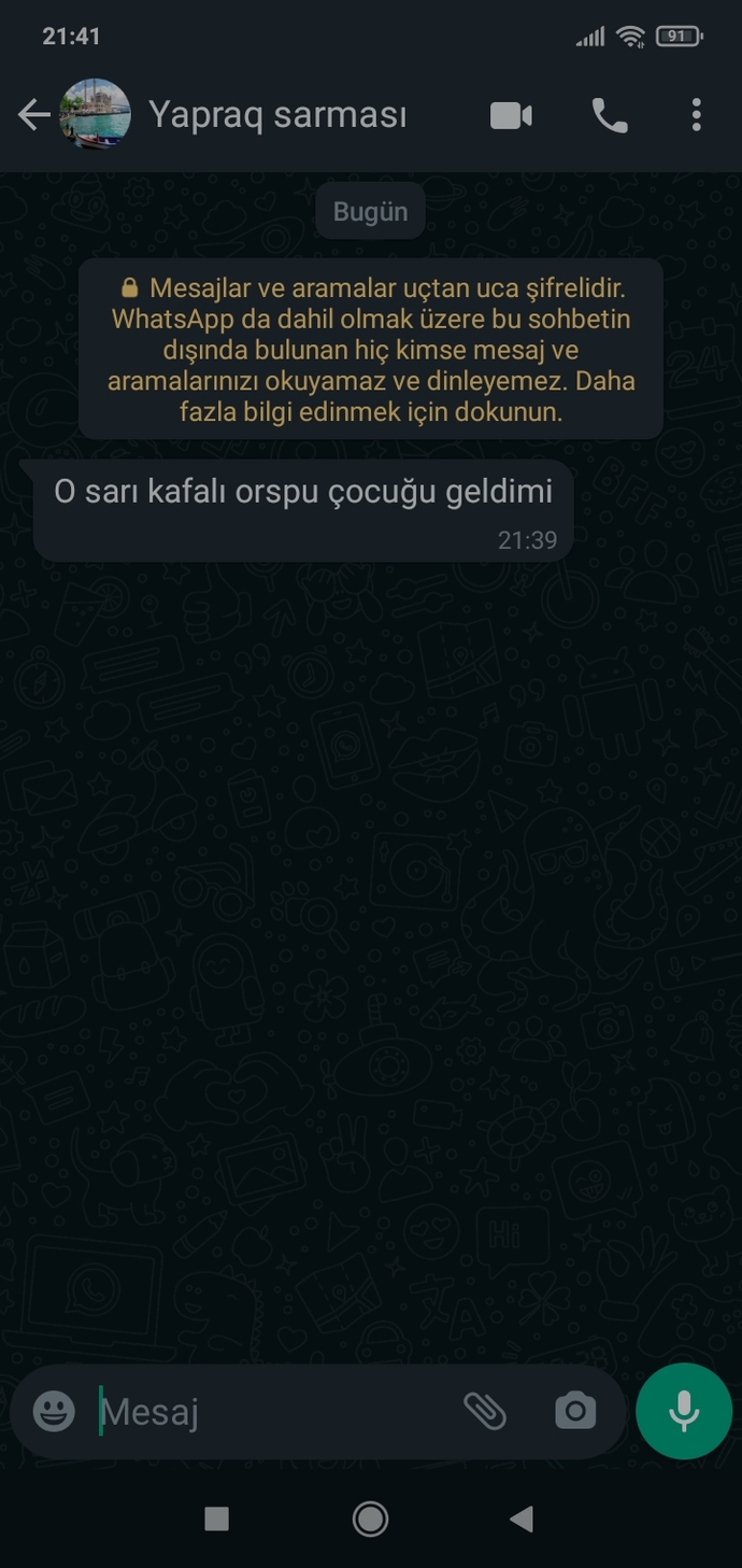 Gelen son mesajınız ney?