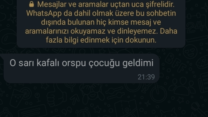 Gelen son mesajınız ney?