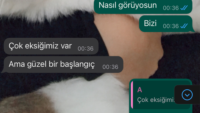 Sizce ne eksiğinden bahsediyor?
