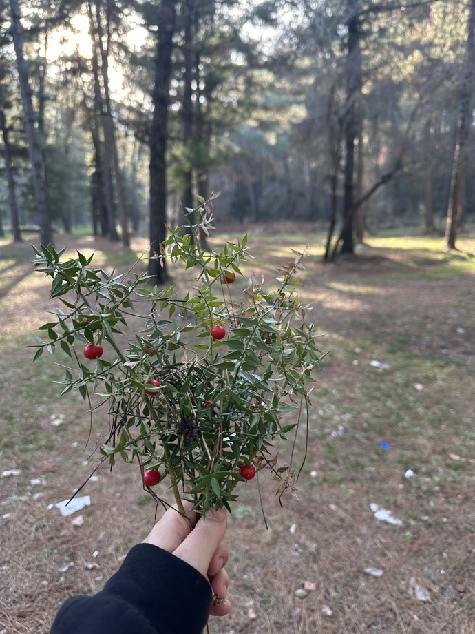 Kokina çiçeği alanım olmayınca ben de böyle "canım kendim" buketi hazırladım, nasıl olmuş sizce?