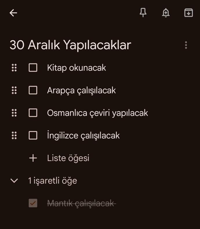 Bugünkü planınız nedir?
