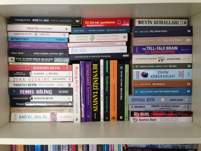 Bir kitap bir antidepresan olabilir mi?