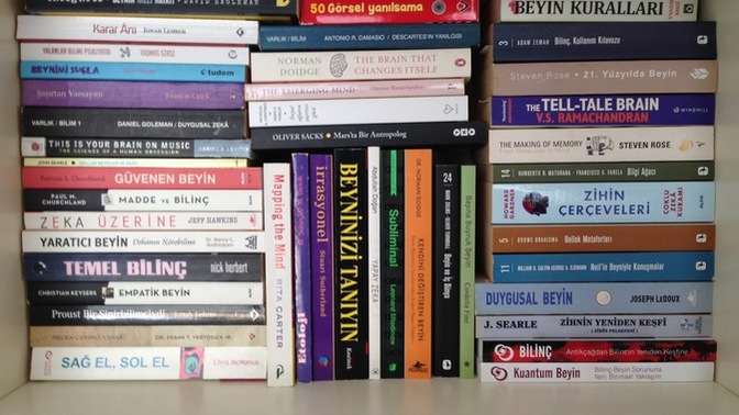 Bir kitap bir antidepresan olabilir mi?