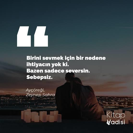 Sebepsiz mi seversin yoksa sevdiğinde sebep mi ararsın?