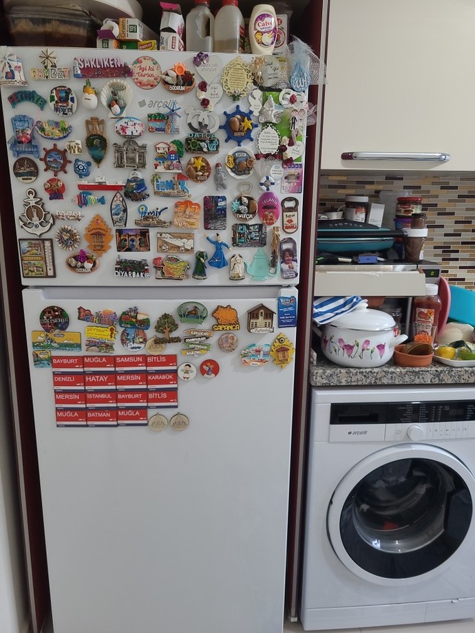 Buzdolabınızın mıknatıslarına ne yapıştırırsınız?