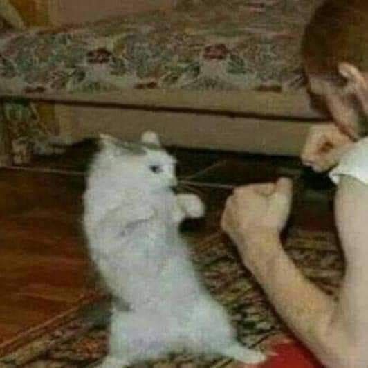 Fiziksel kavgalarda mı sözel kavgalarda mı daha iyisiniz?