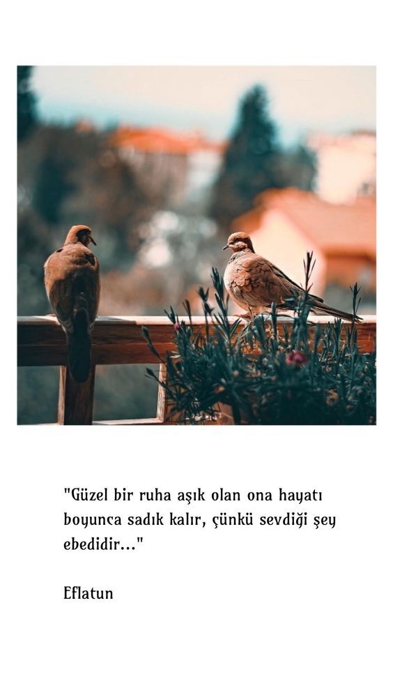 ..