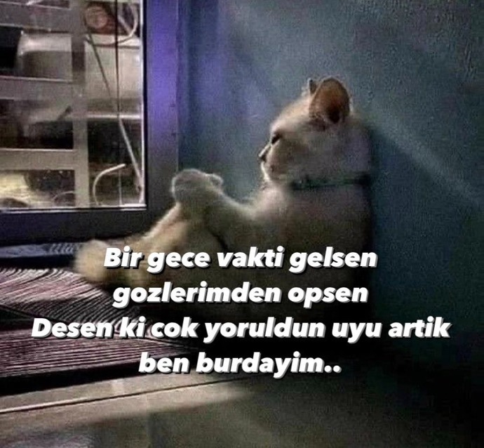 Bu sözü söylemek istediğiniz birisi var mı?