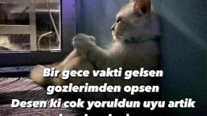 Bu sözü söylemek istediğiniz birisi var mı?