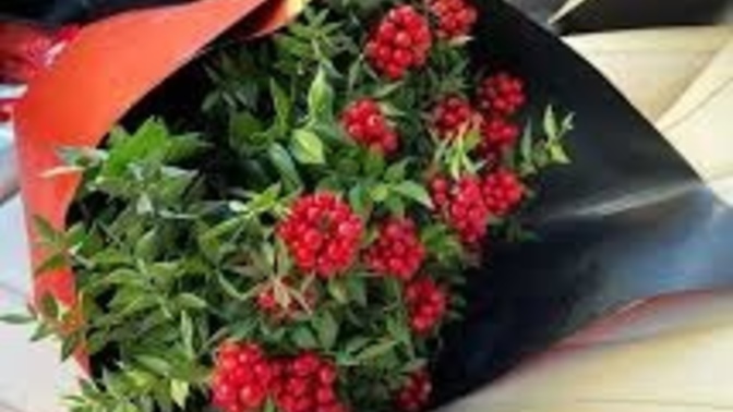 Sevgiliniz size yeni yılda ne alsın isterdiniz?