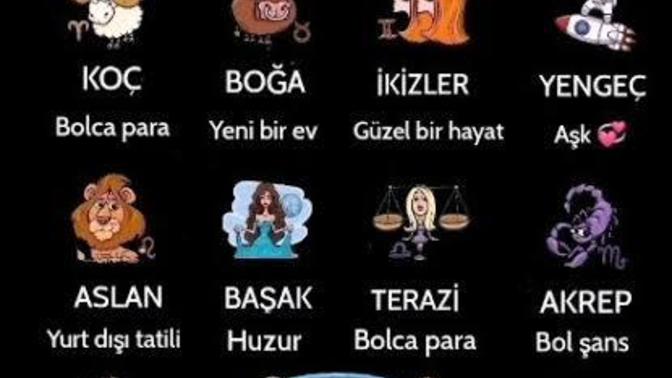 Burcuna göre yeni yıl dileğin nedir?