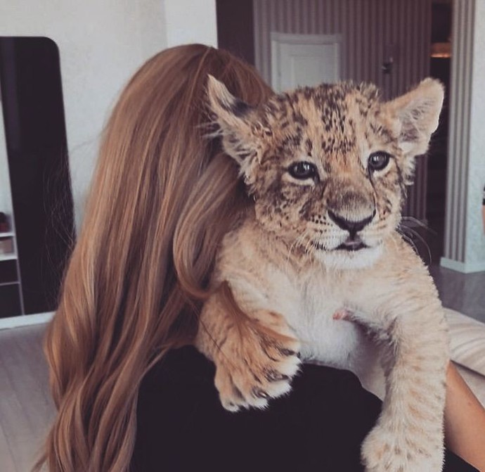 🐯🐾