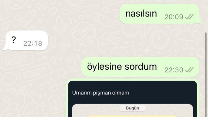 Yeni yılda eski sevgilinize mesaj attınız mı?