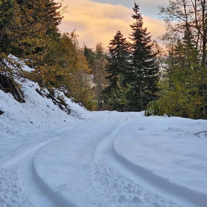 Off road 🛣️ sever misiniZ?