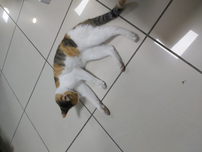 Yeni yılda size iyi gelen ilk şey neydi?