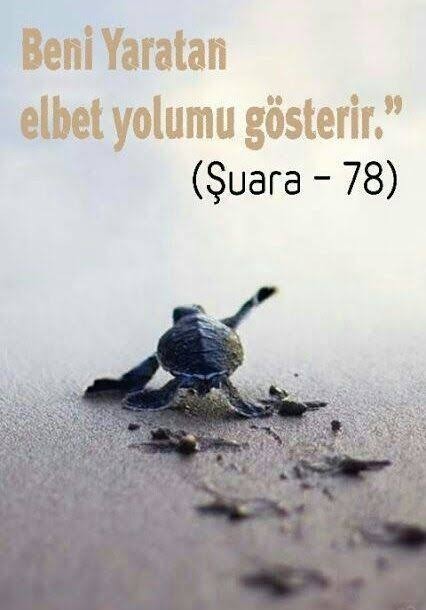 Bi ayet paylaşın benimle?