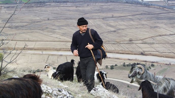 Nasıl keçi kız olurum?